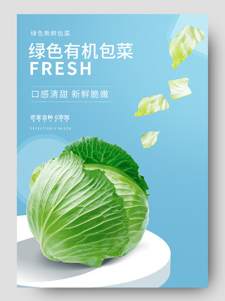 蓝色简约小清新绿色有机包菜蔬菜生鲜促销电商蔬菜生鲜包菜详情页